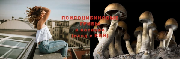 прущие крисы Медвежьегорск